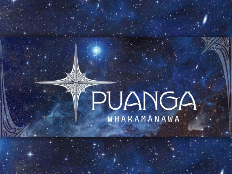 Puanga whakamānawa 2 43