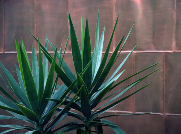 Library detail b 046