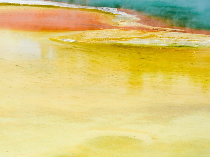 Aleza van der werff U735f2 I Xunk unsplash