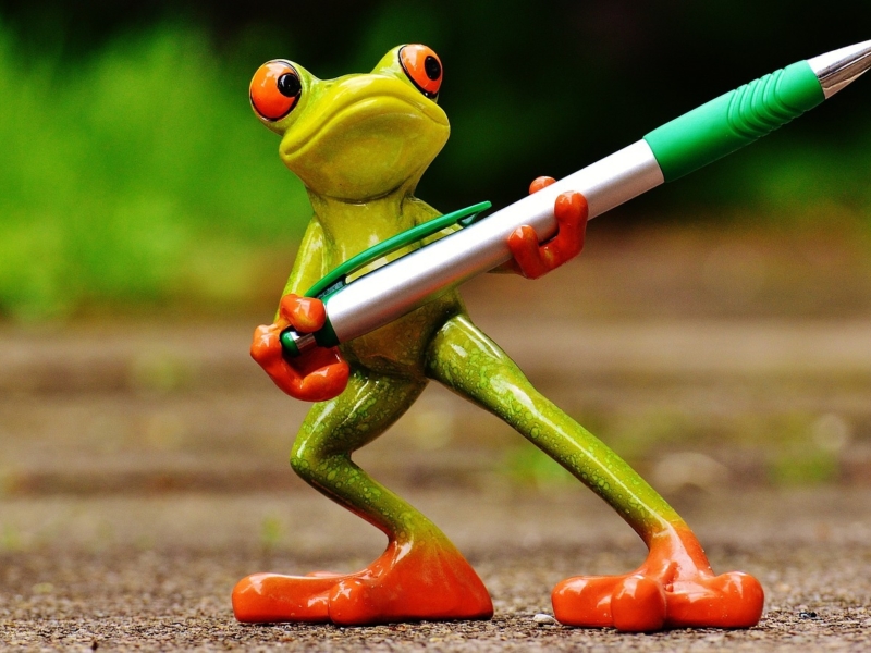 Frog 1446239 1920
