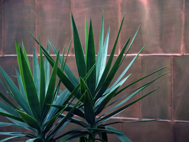 Library detail b 046