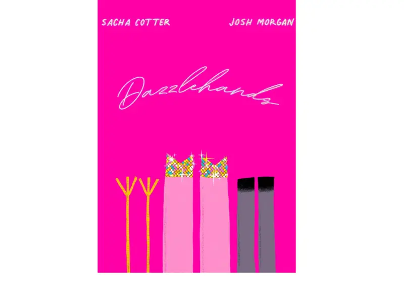 Dazzlehands book cover